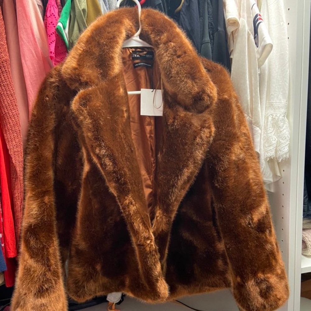 Zara coat